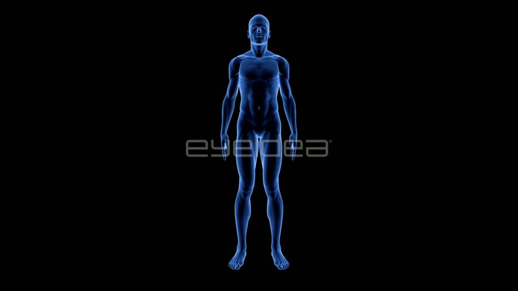 Blue Holographic Male Body Turning on Black