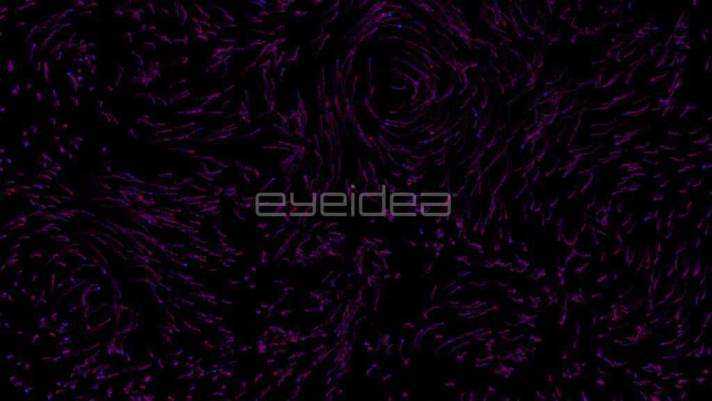Purple Particle Trails Curling in Circular Eddies
