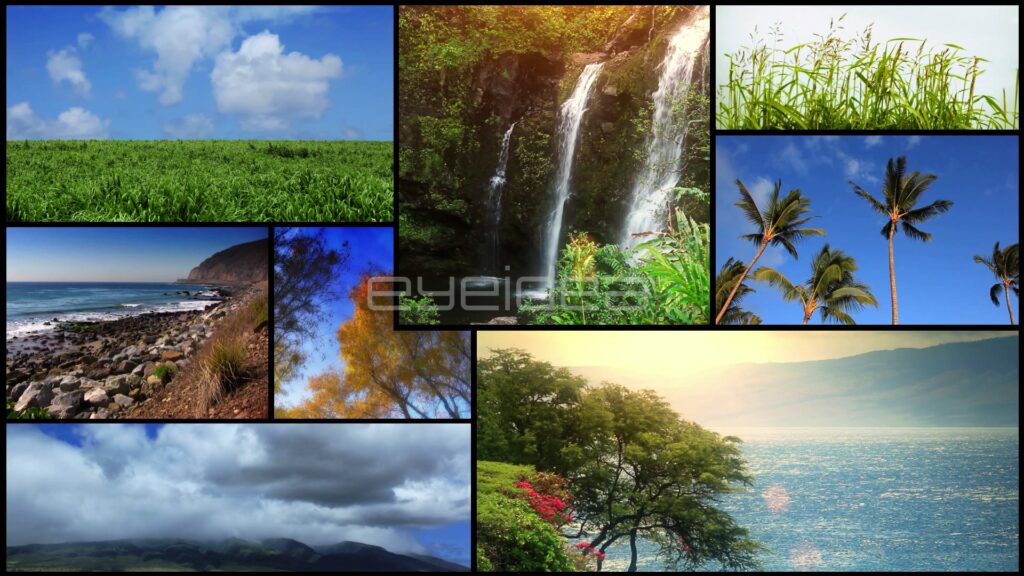 Nature Split-Screen Montage of Waterfalls, Palms and Rocky Coast
