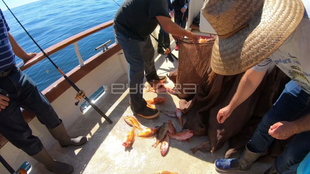 Fishermen Sorting Fresh Catch on Fishing Boat Deck
