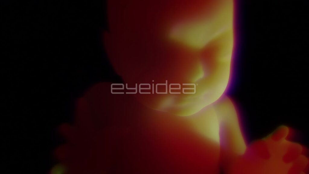 Unborn Baby Embryo Floating in Womb with Red Glow