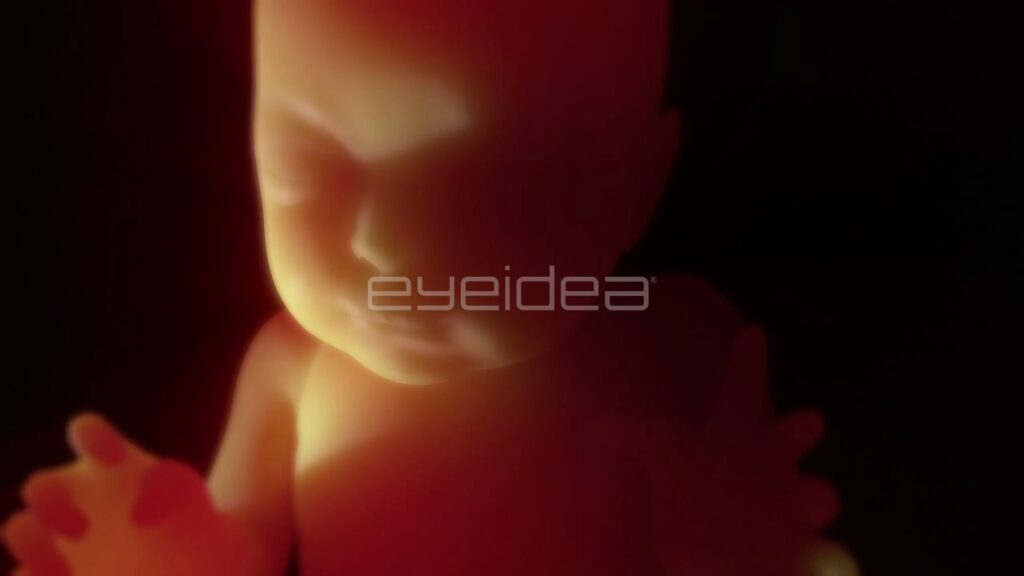 Unborn Baby Embryo Floating in Womb with Warm Lighting