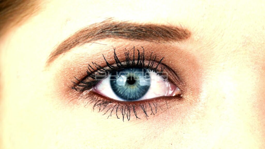 Macro Close-Up of Female Blue Eye with Eyelash Makeup