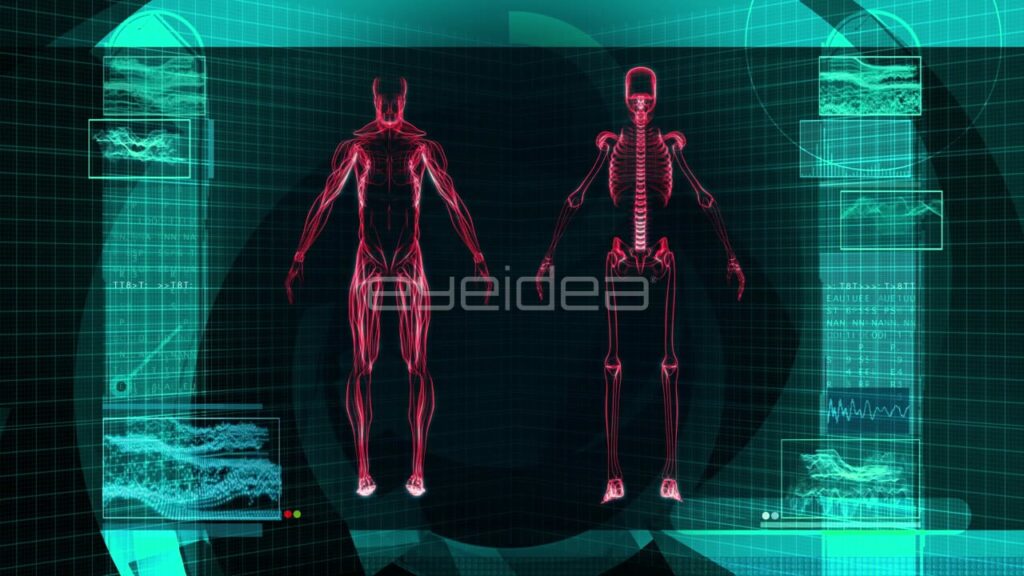 Red Human Muscle and Skeleton Anatomy on Teal Digital Interface