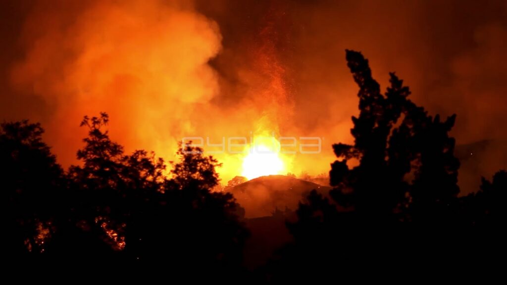 Wildfire Burning through Trees at Night with Orange Glow