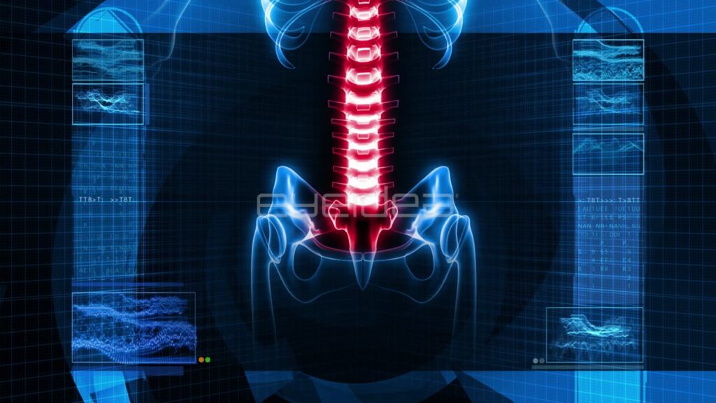 Human Spine X-Ray Animation with Red Glowing Vertebrae