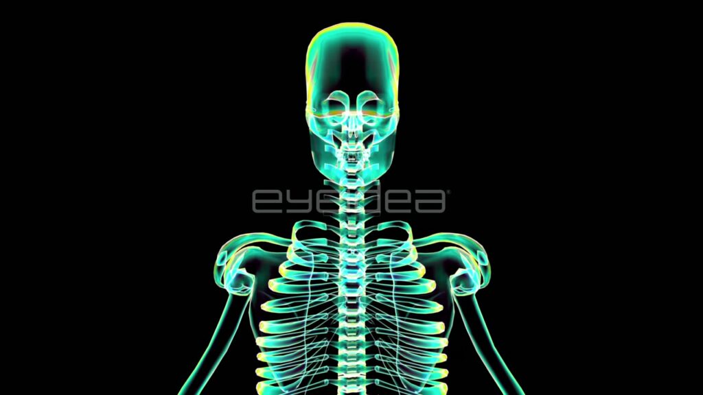 3D Animation of Human Skeleton with Cyan and Yellow Glow