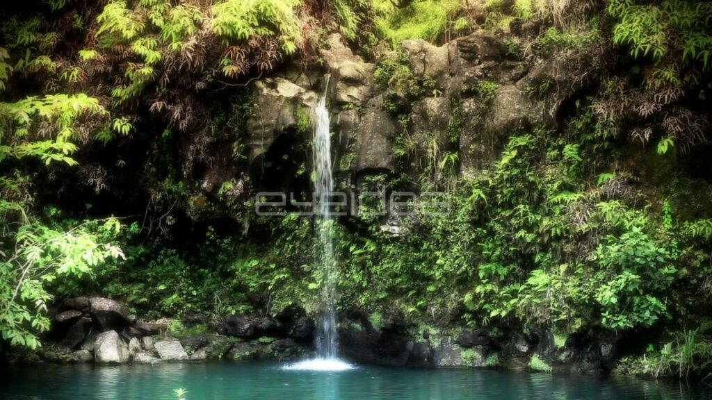 Small Waterfall Cascading into a Blue Pool in Lush Jungle