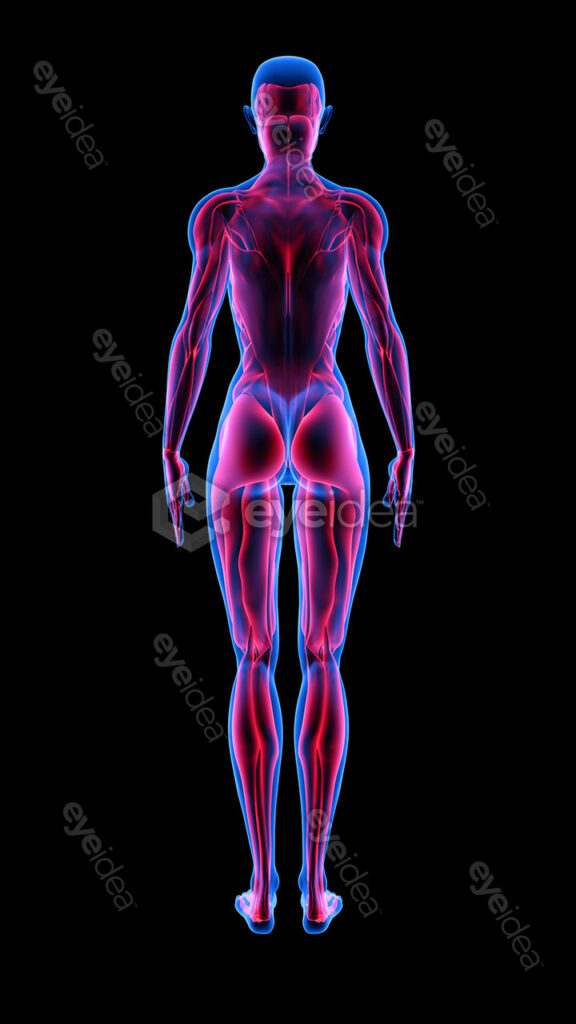 Human Revealed » 56 Stock Images Pack V.1
