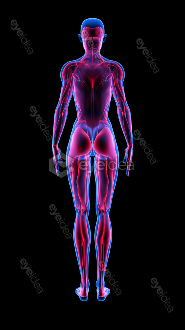 Human Revealed » 56 Stock Images Pack V.1 - Image 4