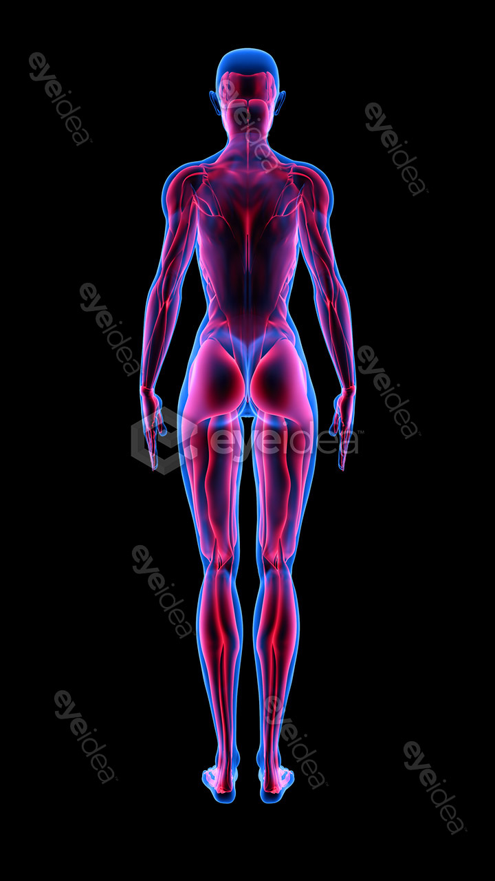 Human Revealed » 56 Stock Images Pack V.1 - Image 4