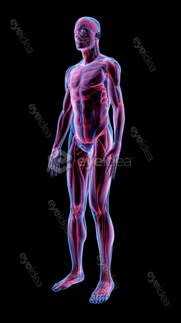 Human Revealed » 56 Stock Images Pack V.1 - Image 14