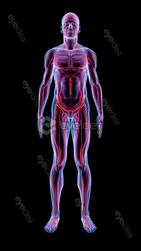Human Revealed » 56 Stock Images Pack V.1