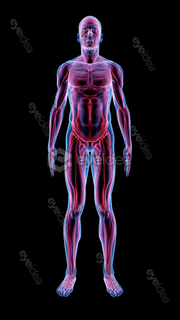 Human Revealed » 56 Stock Images Pack V.1 - Image 13