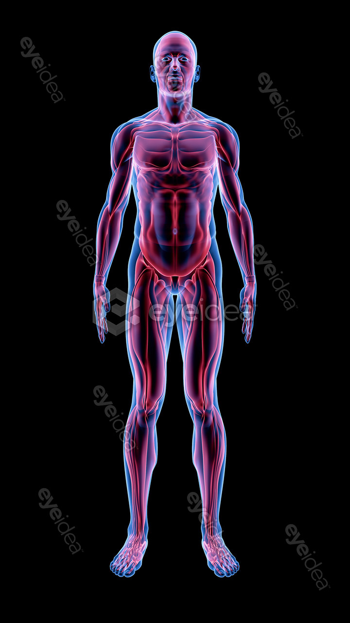 Human Revealed » 56 Stock Images Pack V.1 - Image 13
