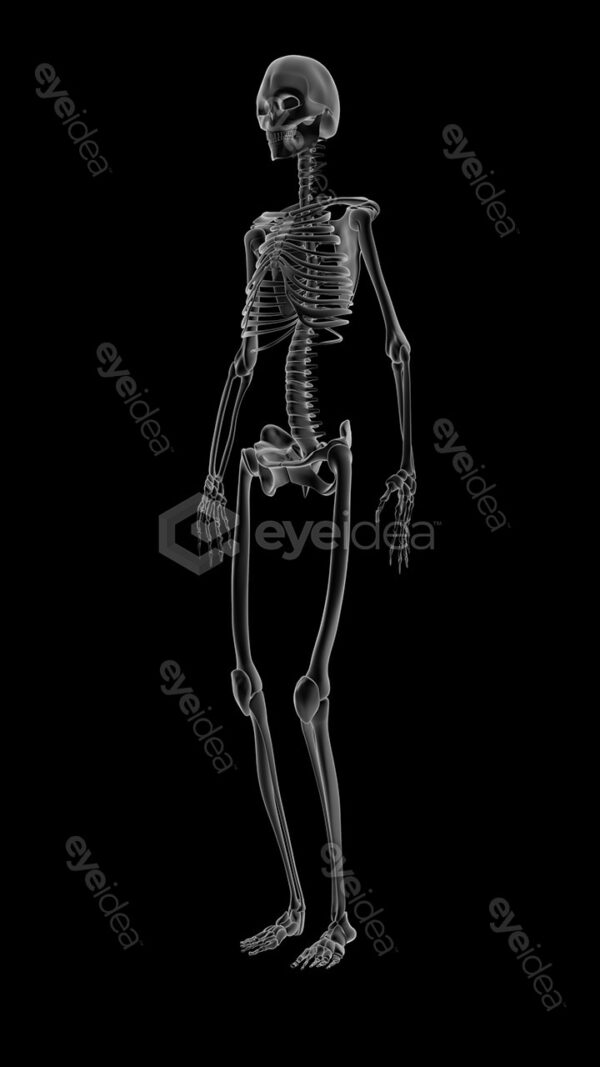 Human Revealed » 56 Stock Images Pack V.1 - Image 9