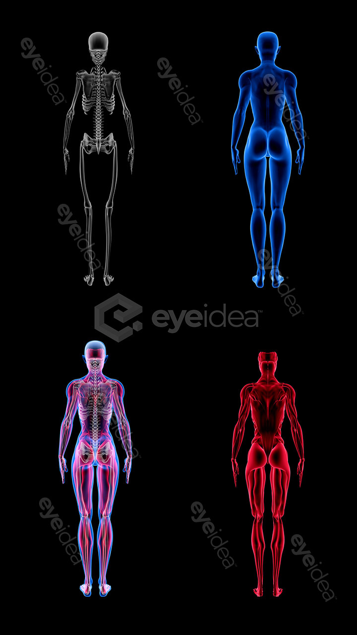 Human Revealed » 56 Stock Images Pack V.1 - Image 10
