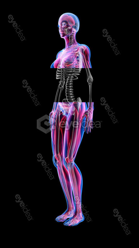 Human Revealed » 56 Stock Images Pack V.1