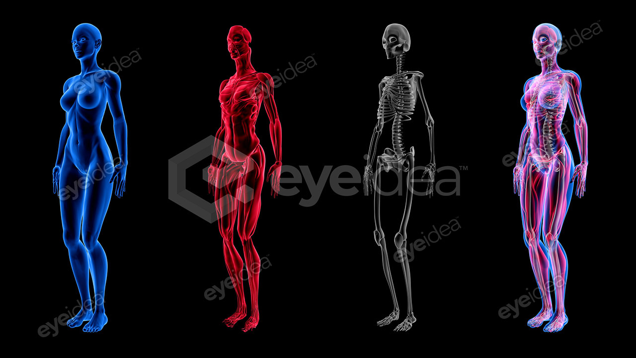 Human Revealed » 56 Stock Images Pack V.1 - Image 7