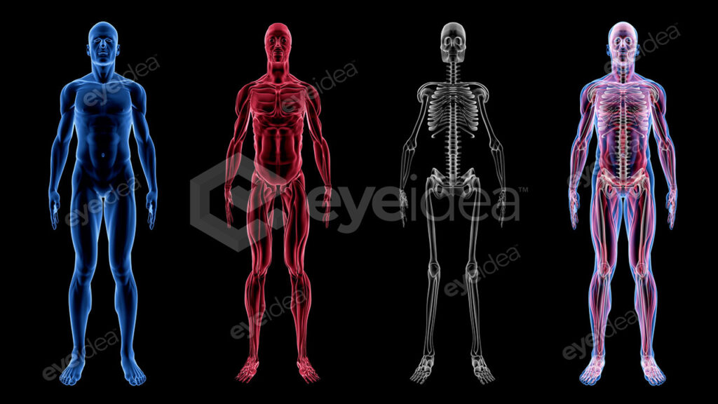 Human Revealed » 56 Stock Images Pack V.1