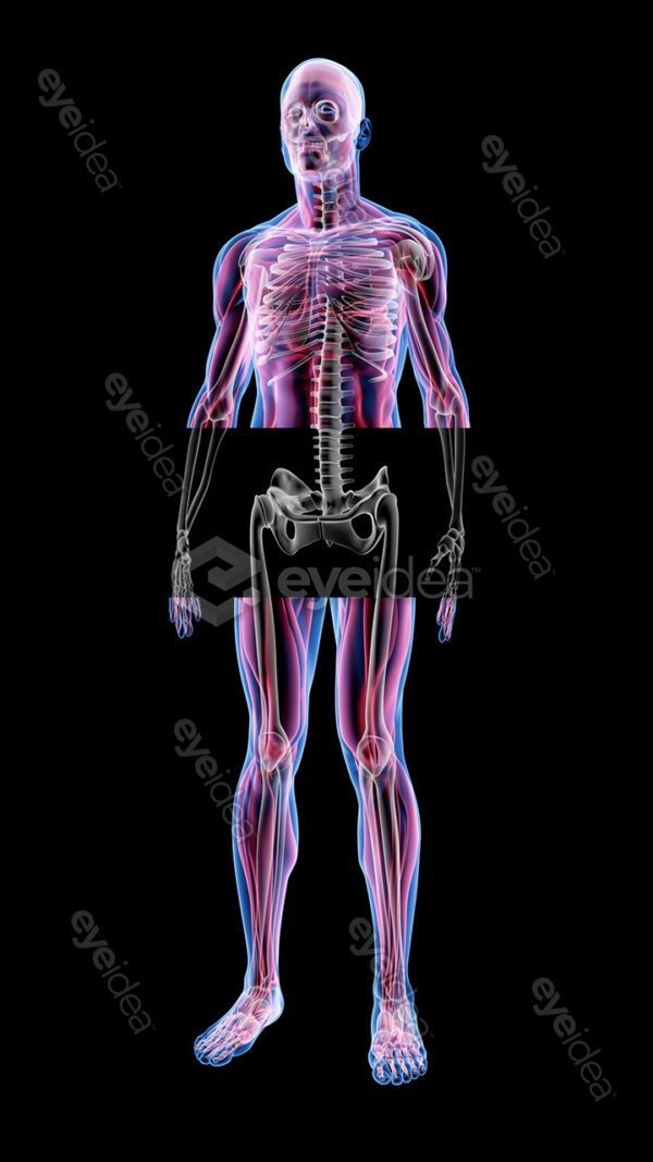Human Revealed » 56 Stock Images Pack V.1 - Image 11
