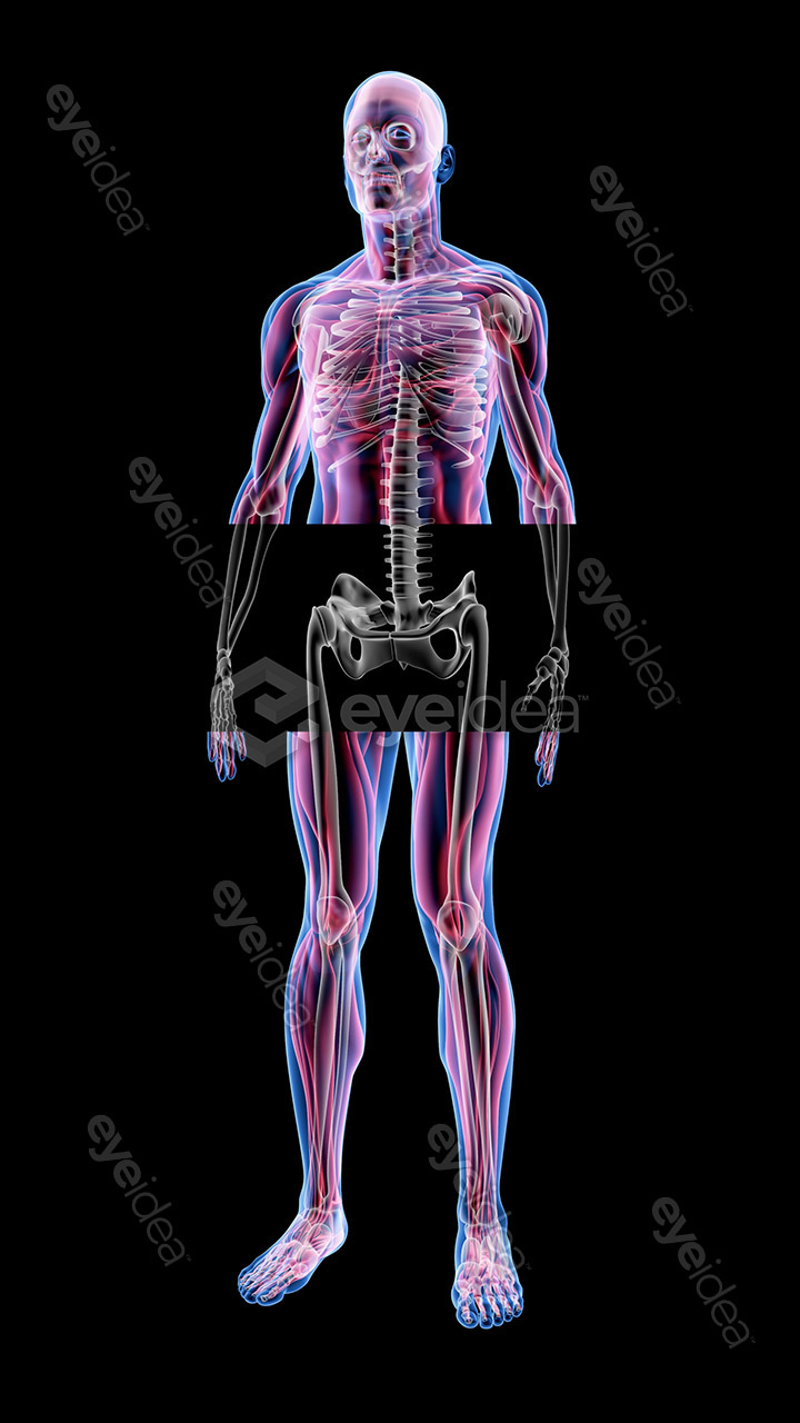 Human Revealed » 56 Stock Images Pack V.1 - Image 11