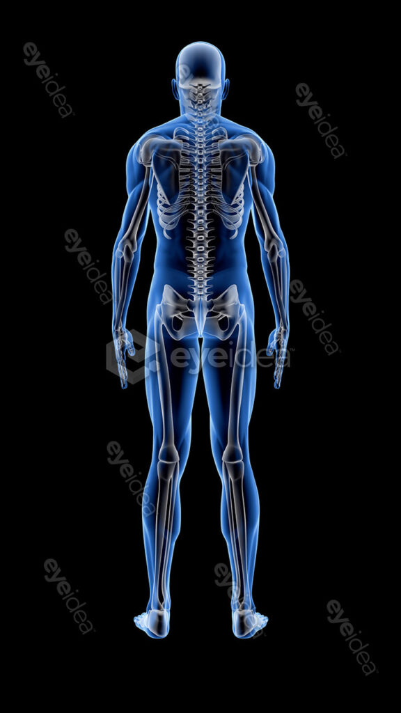 Human Revealed » 56 Stock Images Pack V.1