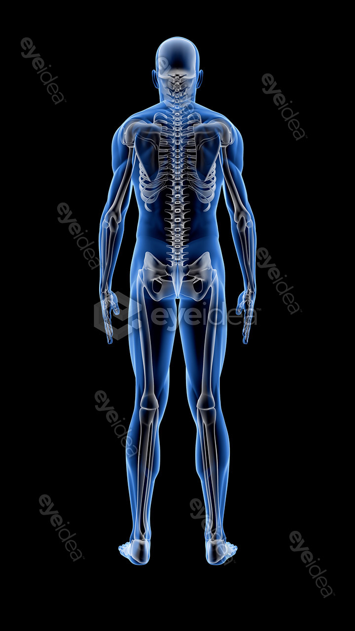 Human Revealed » 56 Stock Images Pack V.1 - Image 15