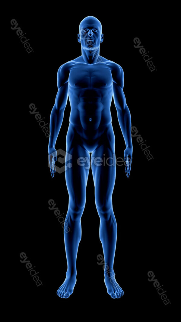 Human Revealed » 56 Stock Images Pack V.1 - Image 5