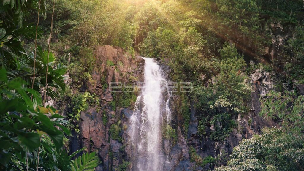 Waterfall Down Red Rock Face Under Glowing Canopy