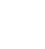 History